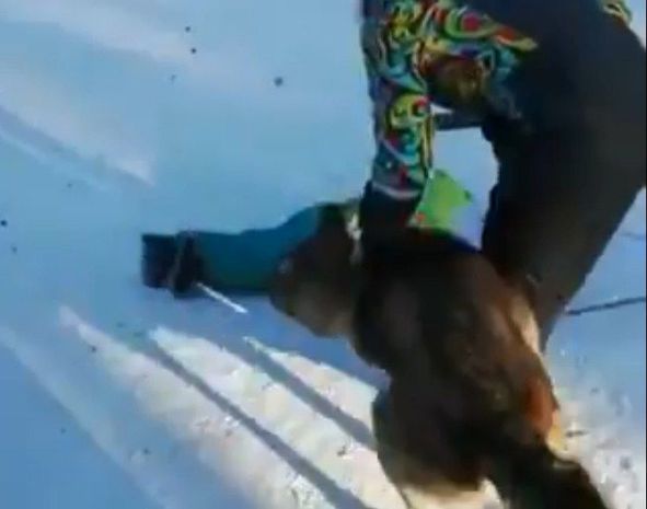 Rusiyada canavar uşağa hücum etdi - VİDEO