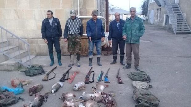 Dovşan ovçuları “ovlandılar”