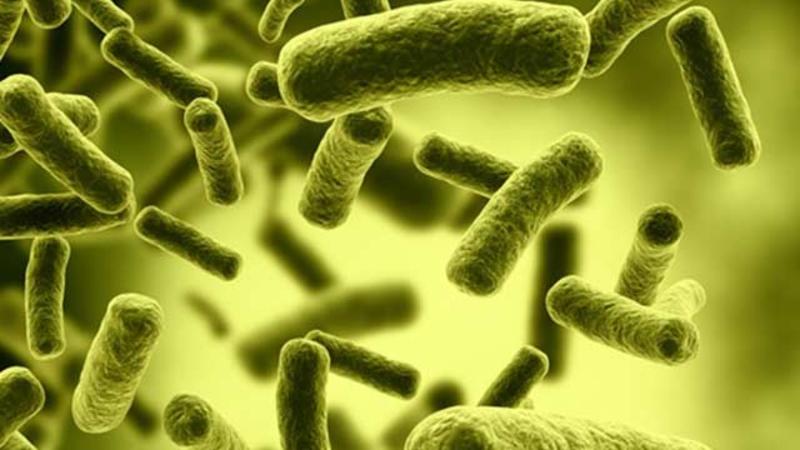 Məşhur professordan qışda xəstələnməmək üçün tövsiyələr