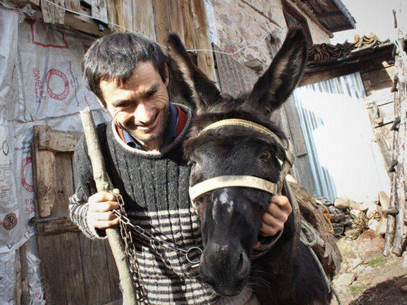 Eşşəyi dişlədi, həyatı CƏHƏNNƏMƏ DÖNDÜ: evlənə bilmir - VİDEO - FOTO