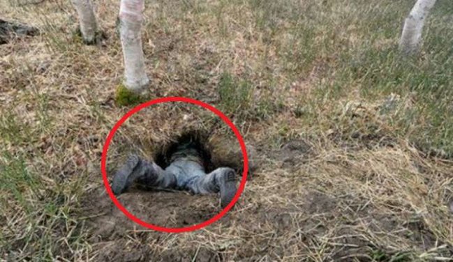 Quyunun içinə girdi, gördüklərindən şoka düşdü - FOTOLAR