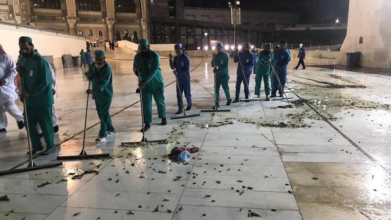 Minlərlə tarakan və çəyirtkə Məkkəyə hücum etdi - Dövlət qurumları HƏRƏKƏTƏ KEÇDİ - FOTO/VİDEO
