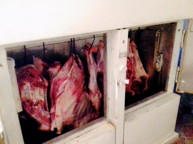 Knyazın evində mənşəyi naməlum ət aşkar edilib - FOTO