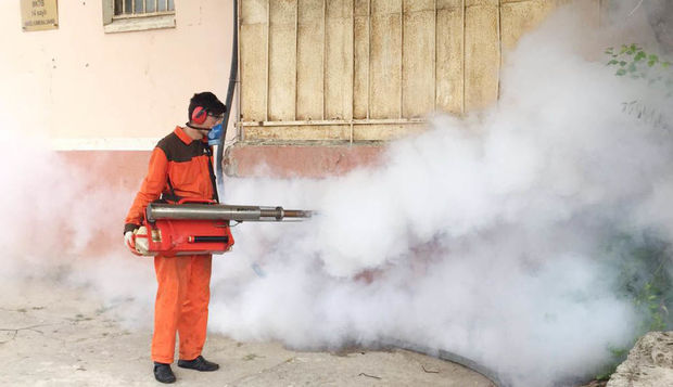 Nazirlik rəsmisi: Adımızdan istifadə edən fırıldaqçılar tutulub