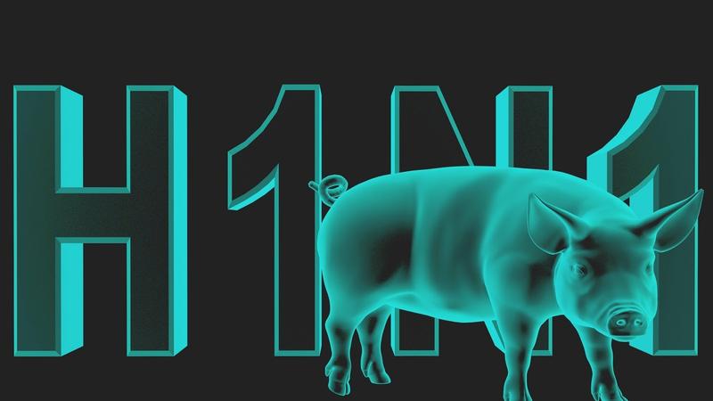 Gürcüstanda qripdən ölənlərin sayı 15-ə çatdı