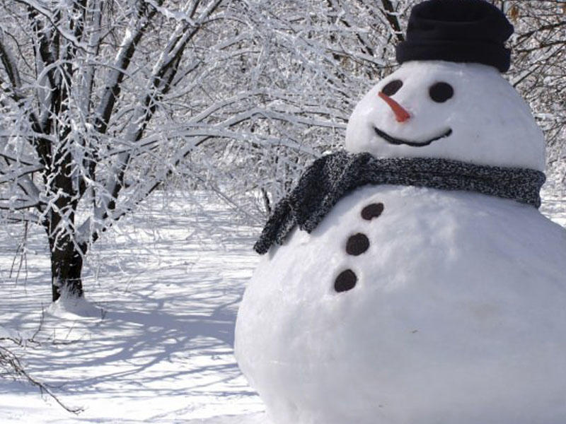 Şəhərə qar yağmadı, bələdiyyə yük maşını ilə mərkəzə dağdan qar gətizdirdi - FOTO