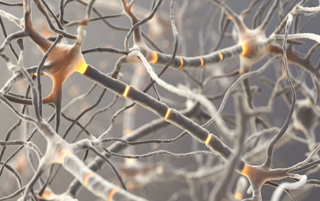 Bu vitamin virusları məhv edir