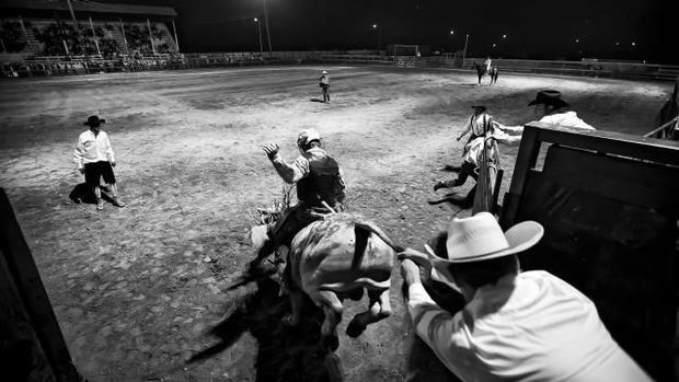 Öküz dünyanın ən yaxşı matadorlarından birini öldürdü - VİDEO