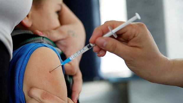 “Donuz qripi” Gürcüstanda can almağa davam edir