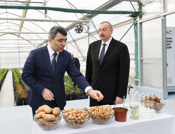 İlham Əliyev Pirşağıda açılışda - YENİLƏNİB + FOTO