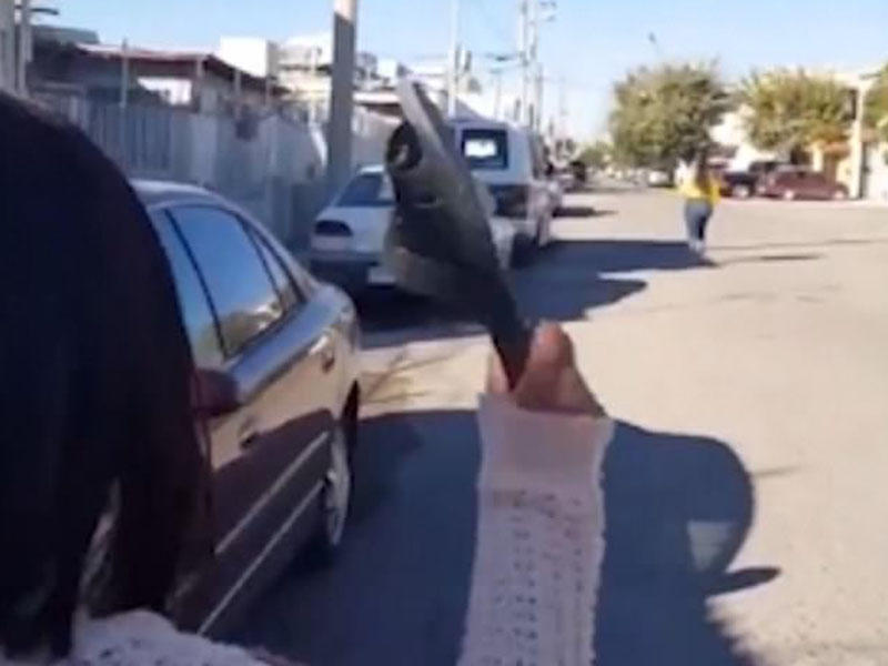 Əsl ana zərbəsi: bu görüntülər fenomenə çevrildi - VİDEO - FOTO