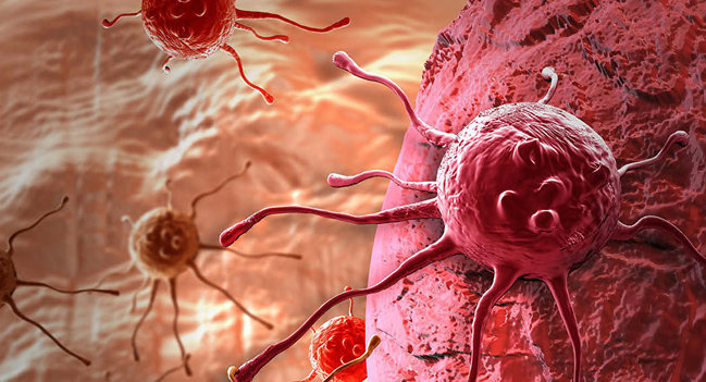 Ehtiyatlı olun: Bu qidalar xərçəng yarada bilər