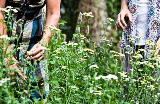 Əksər xəstəliklərin müalicəsi ayağımızın altındadır - VİDEO