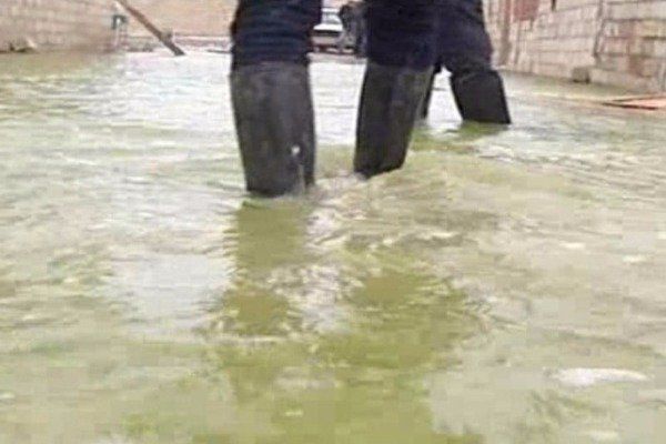 Suraxanıda içməli su küçələrə axır - VİDEO