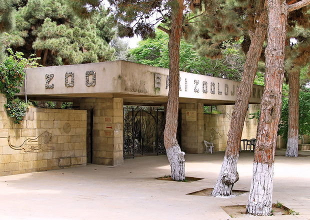 Bakı zooparkı müvəqqəti bağlanır