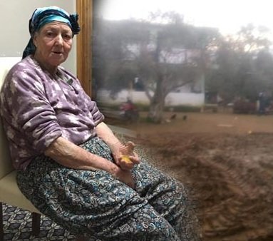 12 yaşlı uşaq nənəsini traktorla əzdi - FOTO