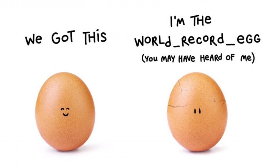 Rekord vuran yumurtanın kimliyi bəlli oldu - Fotolar