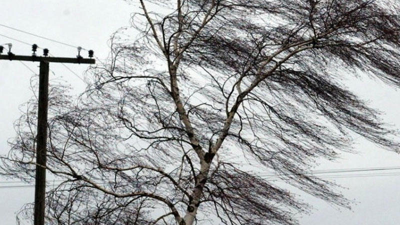 Sabah hava küləkli olacaq - PROQNOZ