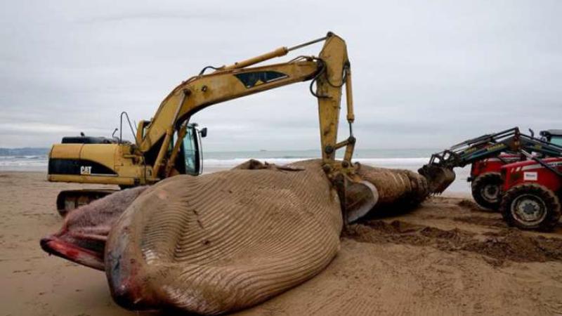 İNANILMAZ: Sosial media bu görüntülərdən danışır - FOTOLAR