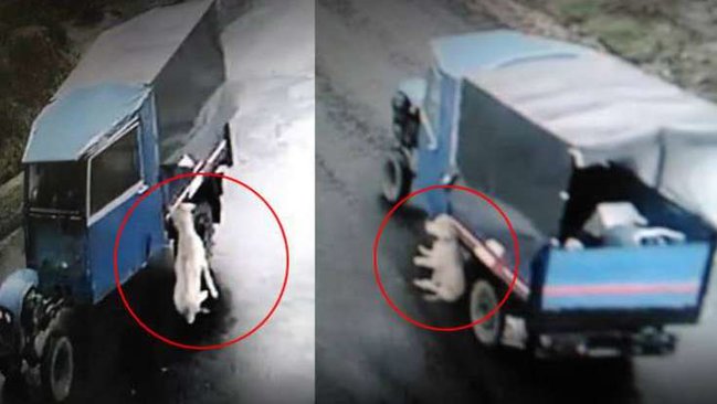 Belə alçaqlıq olmaz! Hər şey anbaan kamerada - FOTO