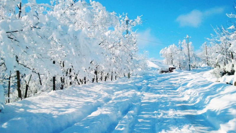 Azərbaycana kəskin soyuqlar gəlir, güclü yağış, qar yağacaq - Umayra Tağıyeva