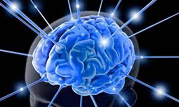 Ученые доказали, что женский мозг примерно на три года моложе мужского