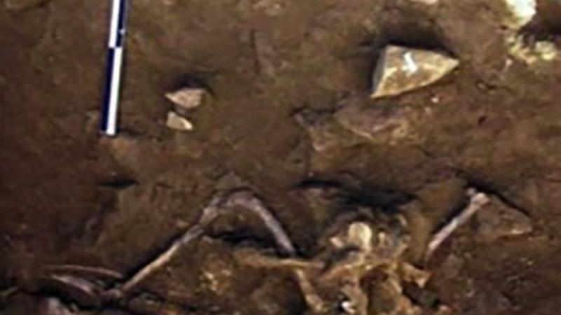 6 min illik tarixi olan it qəbiristanlığı tapıldı