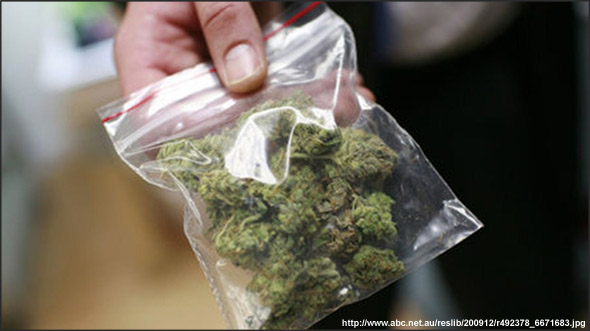 В Джалилабаде задержан наркодилер