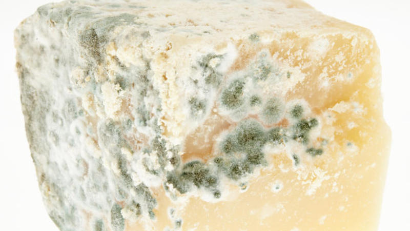 Bu pendirlər XƏRÇƏNG YARADIR - Dietoloqdan ŞOK XƏBƏRDARLIQ