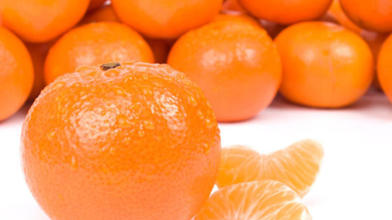 Azərbaycanda yeni çay, limon və naringi sortları yaradıldı