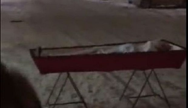 Rusiyada ana oğlunun tabutunu şəhər meriyasının qarşısına gətirdi - VİDEO