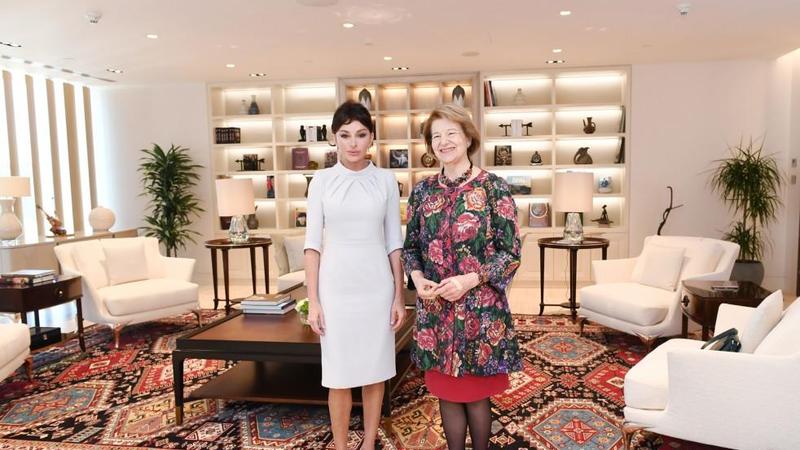 Birinci vitse-prezident Mehriban Əliyeva Böyük Britaniyanın Baş nazirinin Azərbaycan üzrə ticarət elçisi ilə görüşüb - FOTO