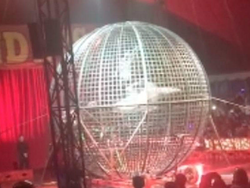 Şok kadrlar: sirkdə faciə yaşandı - VİDEO - FOTO