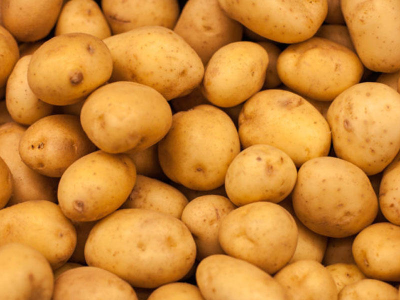 Bu ölkədə kartof əkini qadağan edildi - Suya qənaət üçün