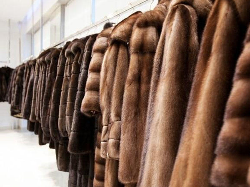 Bu şəhərdə təbii xəz geyimlərin satışı qadağan olunacaq