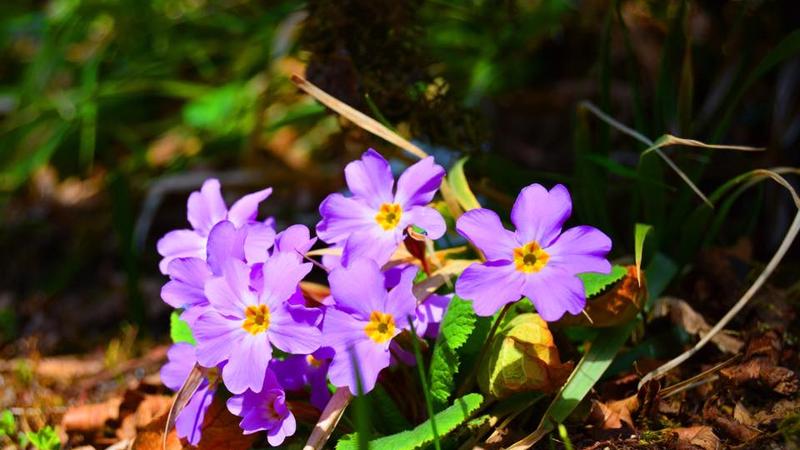 Martda 23 dərəcə isti olacaq - AYLIQ PROQNOZ