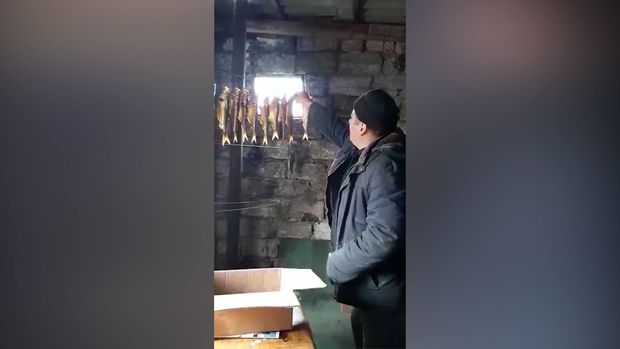 Balıqları zibillikdə hisə verən şəxs saxlanılıb – VİDEO