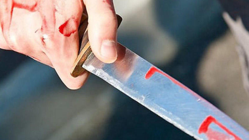 Yarımlıdakı dəhşətli cinayətlə bağlı RƏSMİ MƏLUMAT - Nəzarətə götürüldü