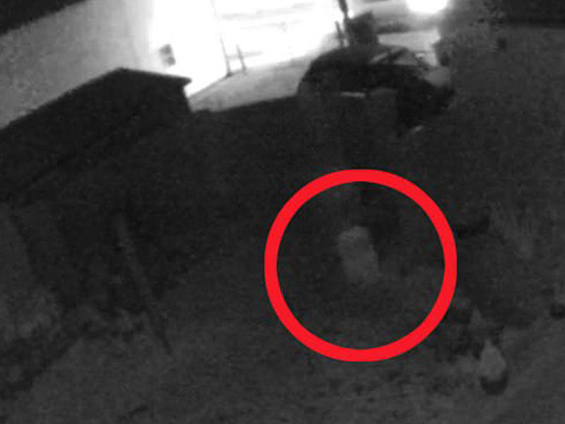 Şok kadrlar: evin bağçasında uşaq ruhu dolaşdı - VİDEO - FOTO