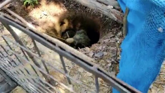 Quyudan 4 saata çıxardtılar, kəndlilər şokda - FOTO