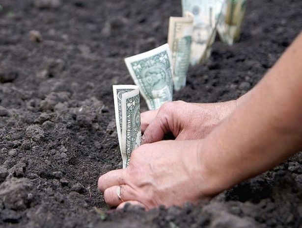 Əmlak və torpaq vergiləri üzrə borclar silinə bilər - Yeni qanun