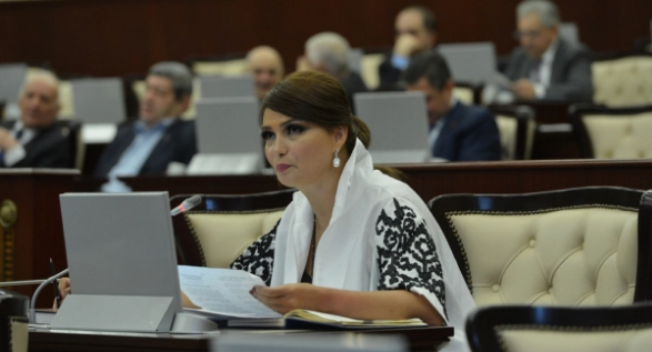 Qənirə Paşayeva Mətin Yaşaroğluna görə Ombudsmana müraciət etdi – Milli Məclisdə