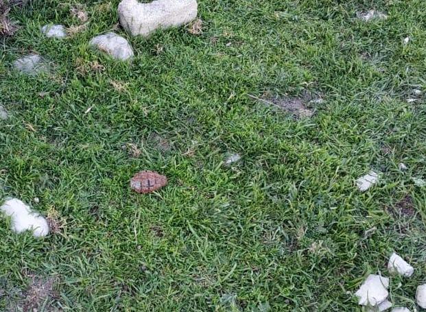 Tağıyev qəsəbəsində təhlükəli tapıntı - FOTO