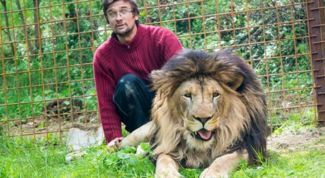 Şir öz sahibini parçaladı, meyiti götürmək üçün heyvanı öldürmək lazım gəldi - VİDEO