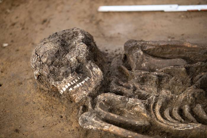 Археологи нашли в Баварии скелет возрастом 6,5 тысячи лет