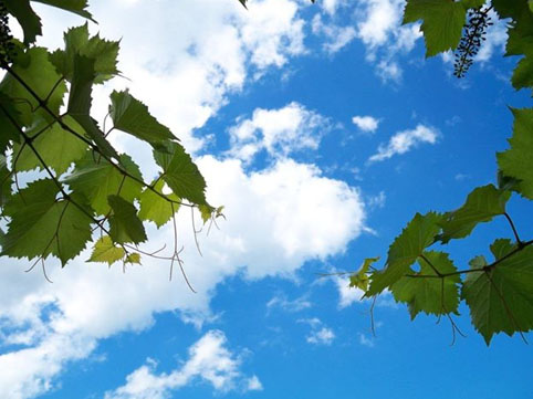 İstirahət gününün HAVAsı