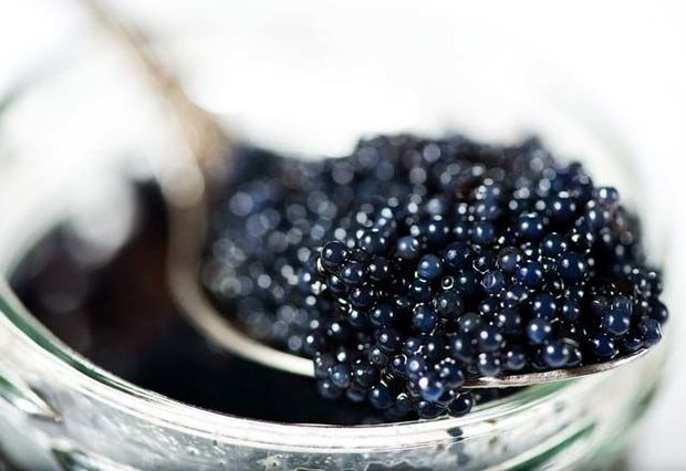 Kürünün bir kiloqramı 2500 manata satılır - VİDEO