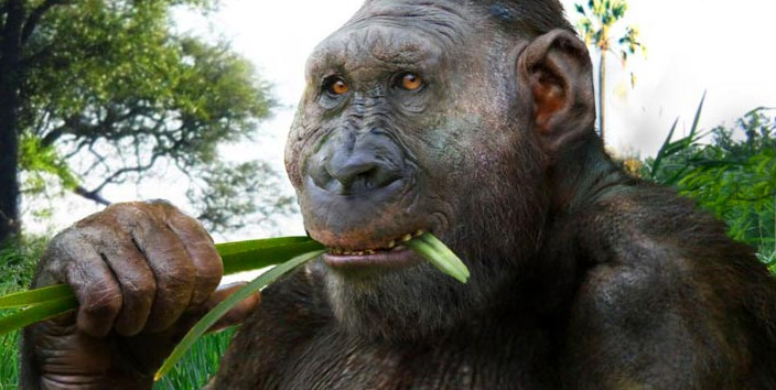 22 milyon il əvvələ aid diş tapıldı: Meymunun insana çevrilməsinin səbəbi anlaşıldı – Foto