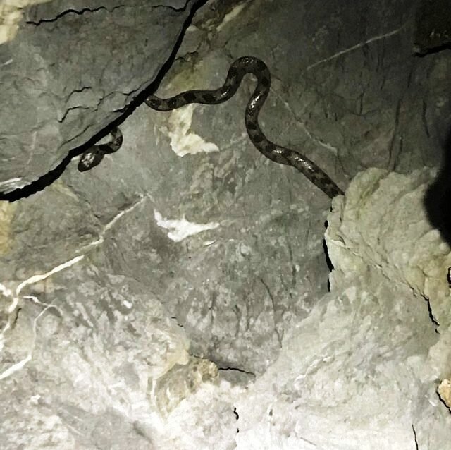 Bir anda təsadüfən gördü - Görün qayalarda nə ilə qarşılaşdı?/ FOTOLAR