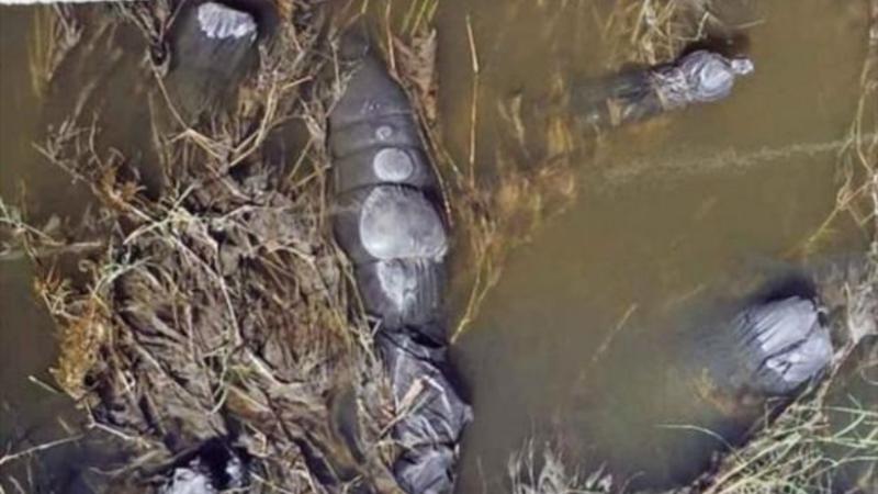 Cəsəd parçalarını 19 kisəyə yığdılar və... – DƏHŞƏTLİ CİNAYƏT